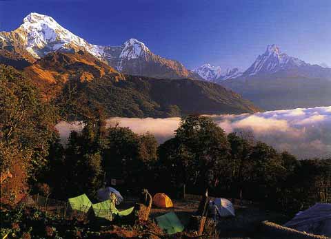 
Annapurna South, Hiunchuli, and Machupuchare at sunrise from Tadapani - Trekking And Climbing in Nepal book
